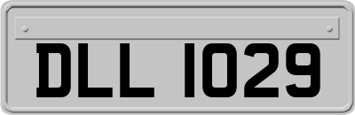 DLL1029