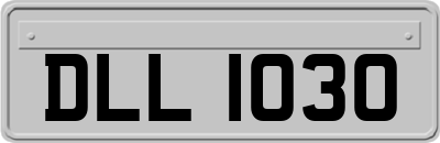 DLL1030