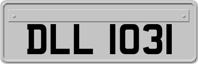 DLL1031