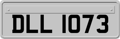 DLL1073