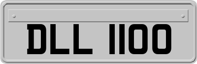 DLL1100