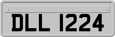 DLL1224