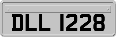 DLL1228