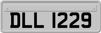 DLL1229