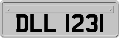 DLL1231