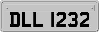 DLL1232