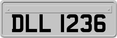 DLL1236