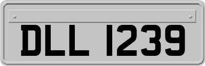 DLL1239
