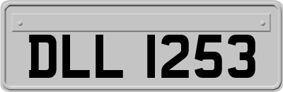 DLL1253