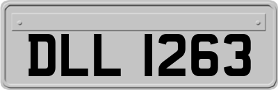 DLL1263