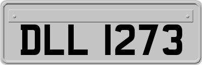 DLL1273