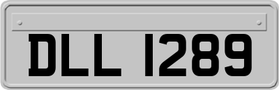DLL1289