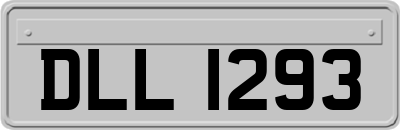 DLL1293