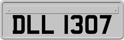 DLL1307