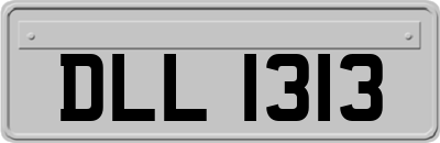 DLL1313