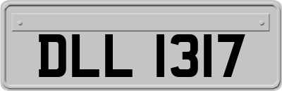 DLL1317