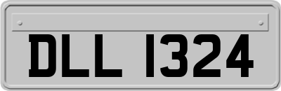 DLL1324