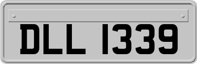 DLL1339