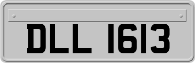 DLL1613