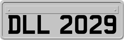 DLL2029