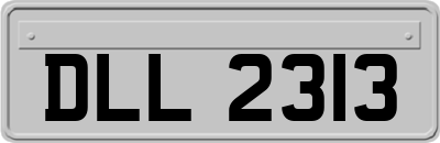 DLL2313