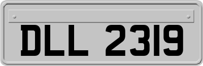 DLL2319