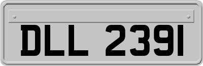 DLL2391