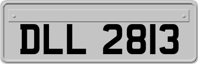 DLL2813