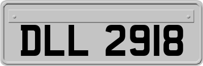DLL2918