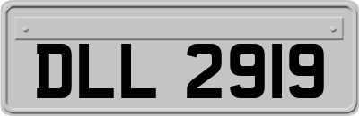 DLL2919