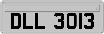DLL3013