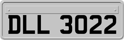 DLL3022