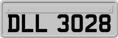 DLL3028