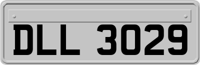 DLL3029