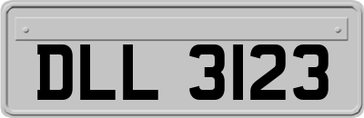 DLL3123