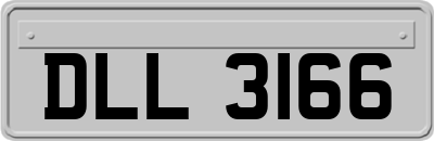 DLL3166