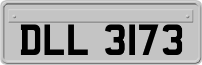 DLL3173