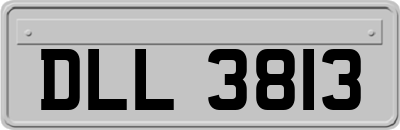 DLL3813