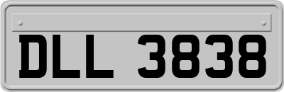 DLL3838