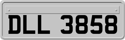 DLL3858