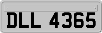 DLL4365