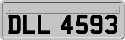 DLL4593