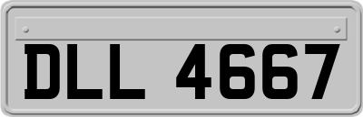 DLL4667
