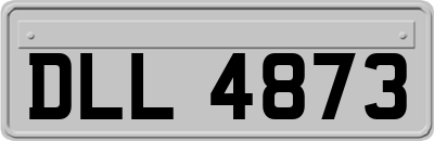 DLL4873