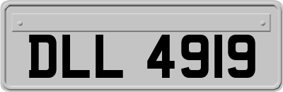 DLL4919