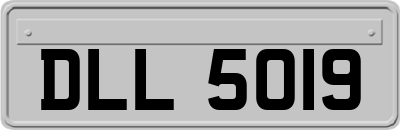 DLL5019