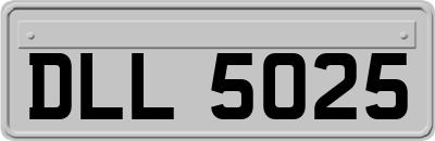 DLL5025