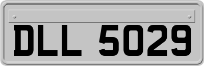 DLL5029