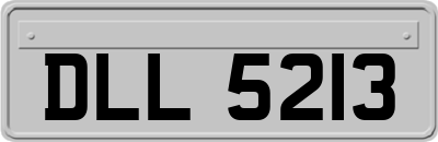 DLL5213