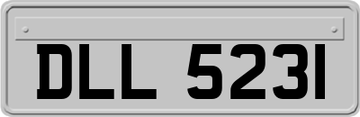 DLL5231